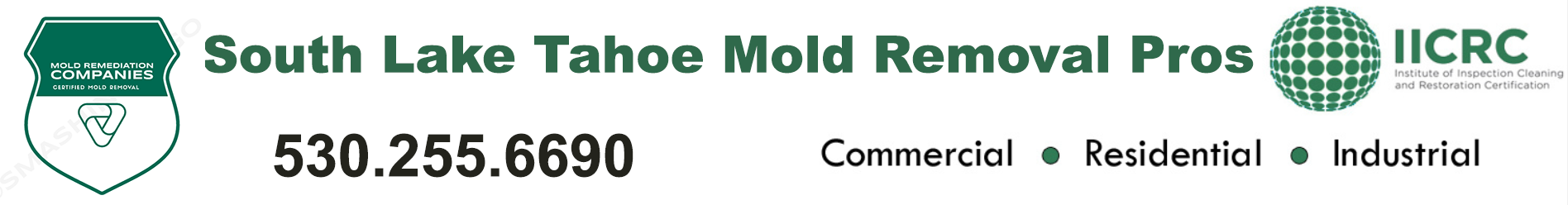 South Lake Tahoe Mold Removal Pros