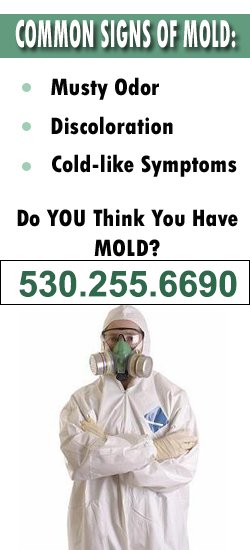 South Lake Tahoe Mold Remediation Contractor